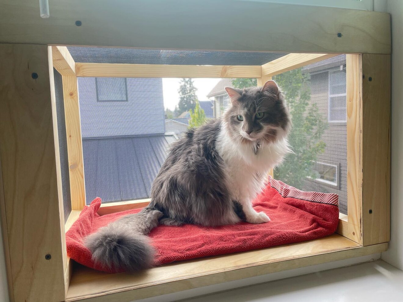 catio-v2-1-wood-rather-diy